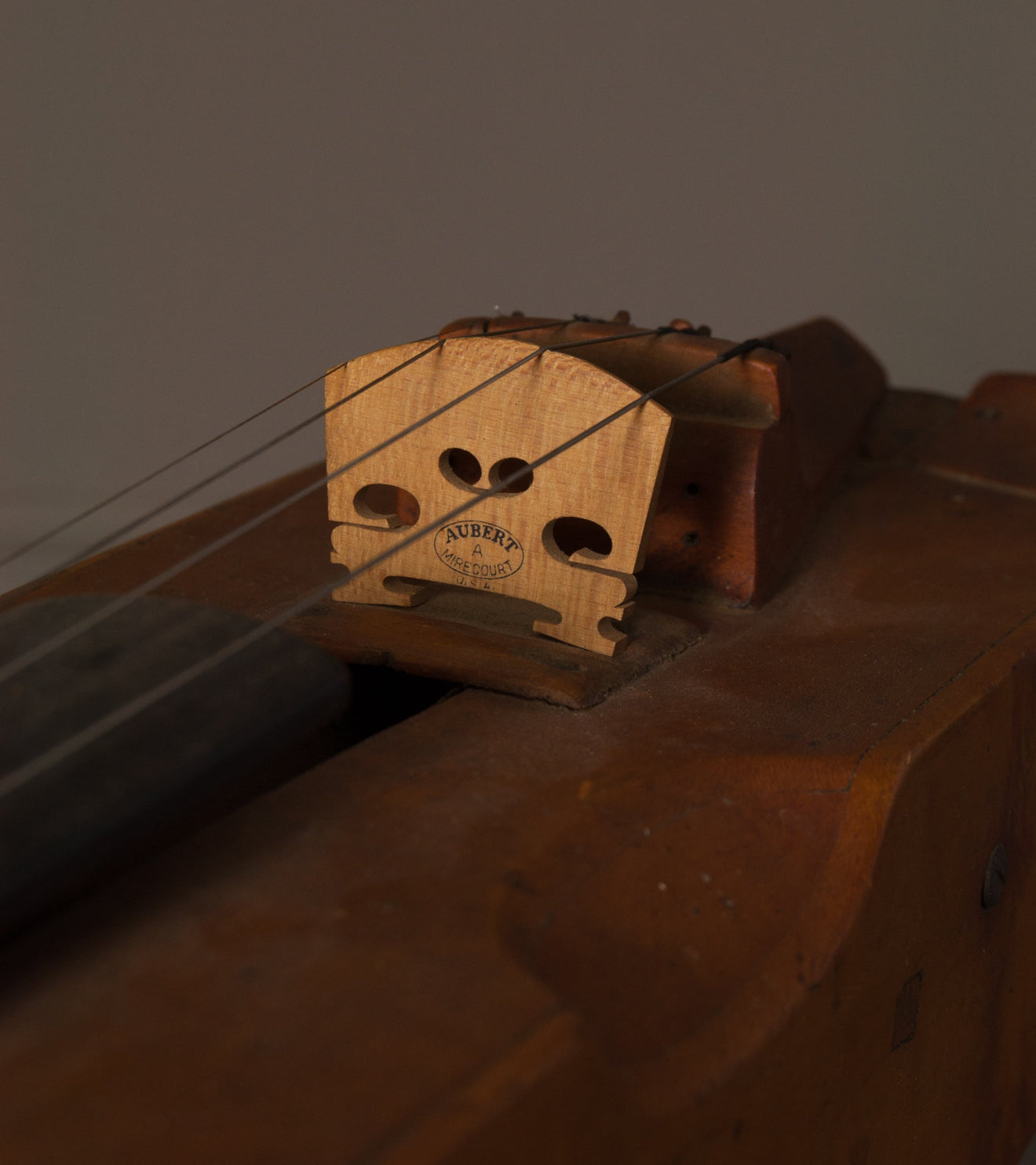 Unique Violin-Like Instrument